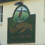 The Old Pheasant
