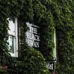 Black Swan Hotel rooms price check Best Prices and Availability