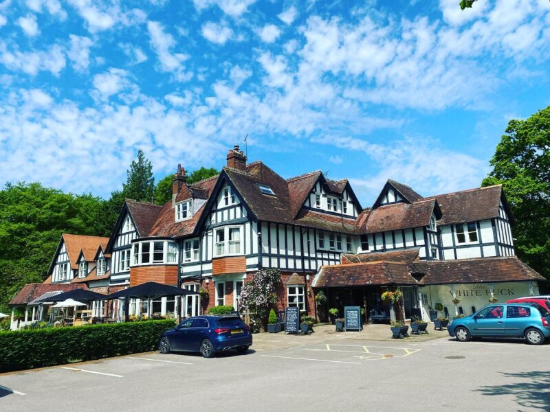 The White Buck - Burley