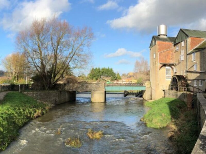 Palmers Brewery Tour - Bridport